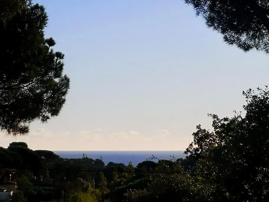 Casa Bioclimatica Y Ecologica De Madera. Villa Calonge  Calonge (Catalonia)